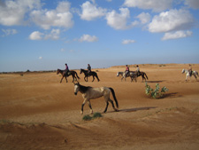 Morocco-Morocco-Sable d'Or - Southern Morocco